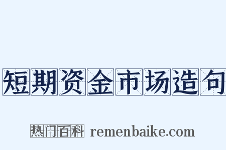 短期资金市场造句是什么意思的图片